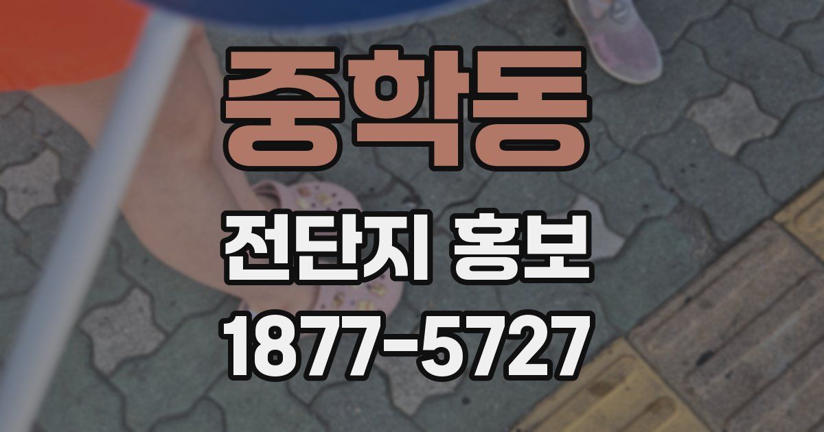 중학동 전단지 홍보