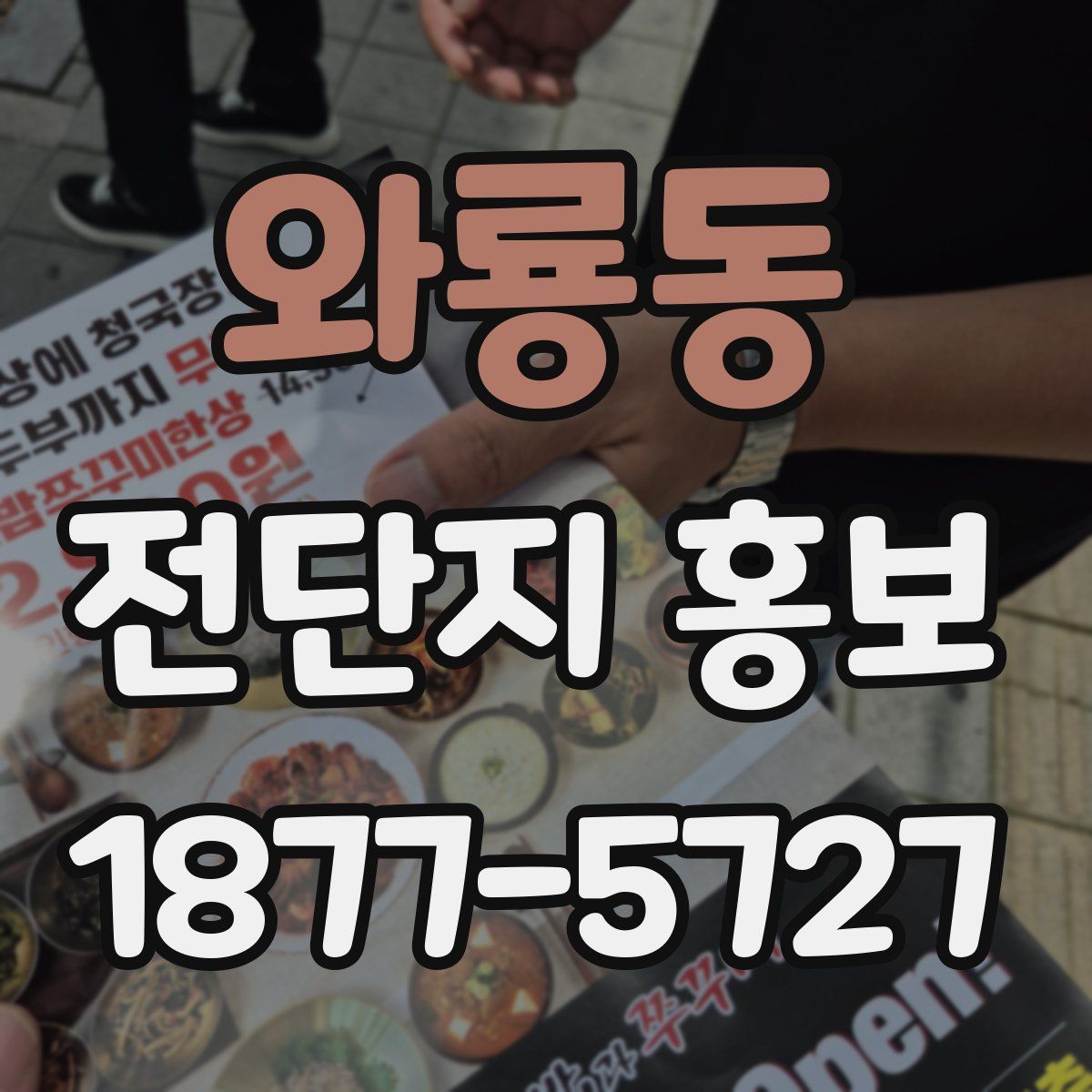 와룡동 전단지 홍보