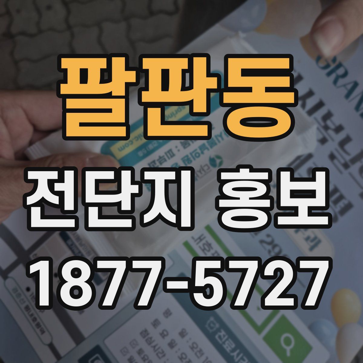 팔판동 전단지 홍보