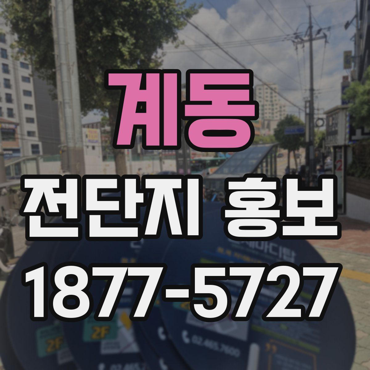 계동 전단지 홍보