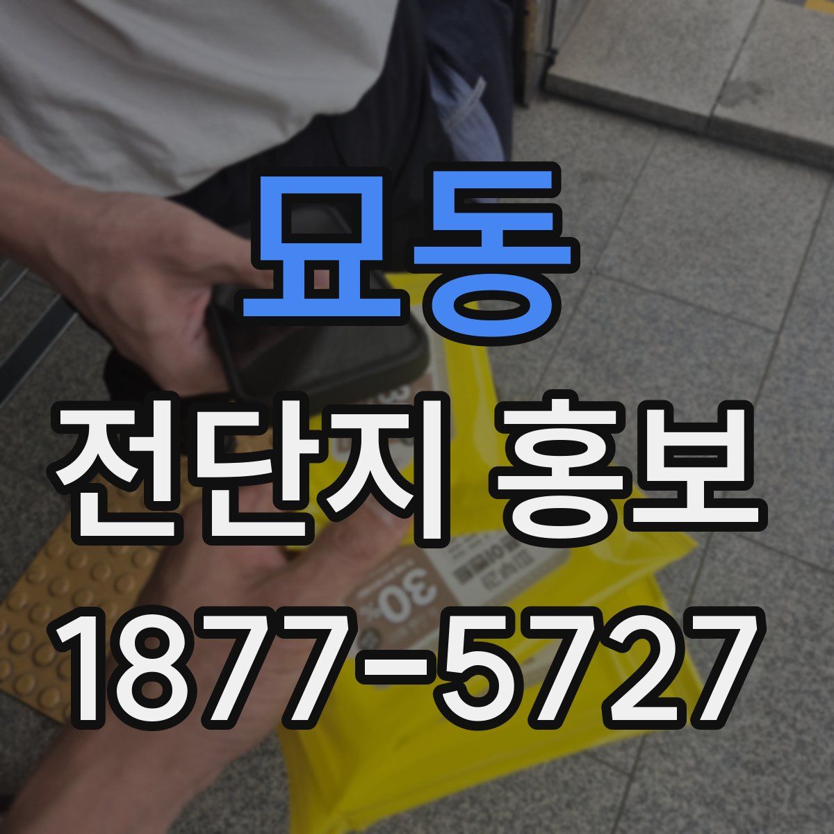 묘동 전단지 홍보