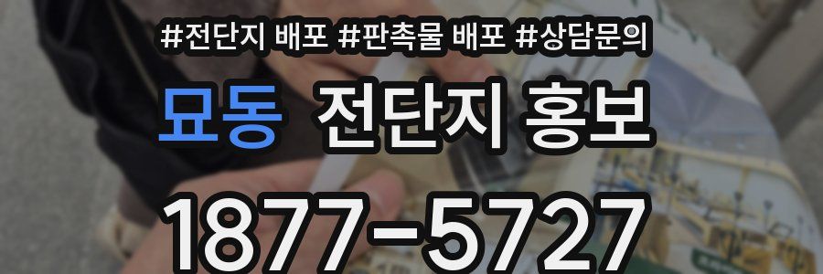 묘동 전단지 홍보
