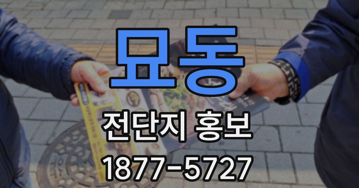 묘동 전단지 홍보