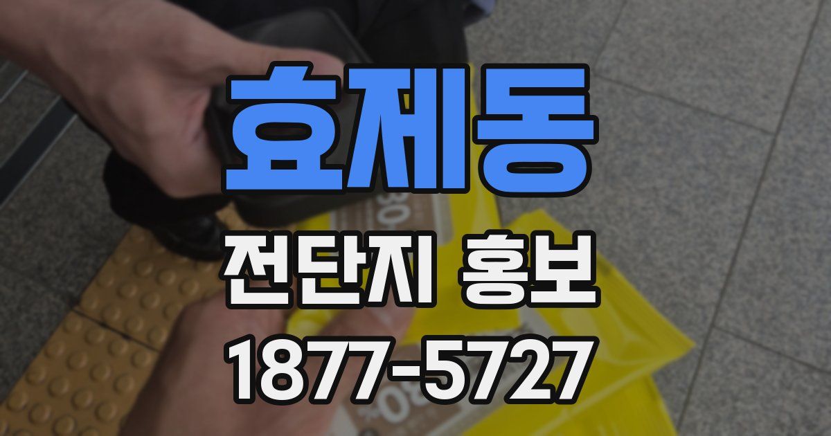 효제동 전단지 홍보
