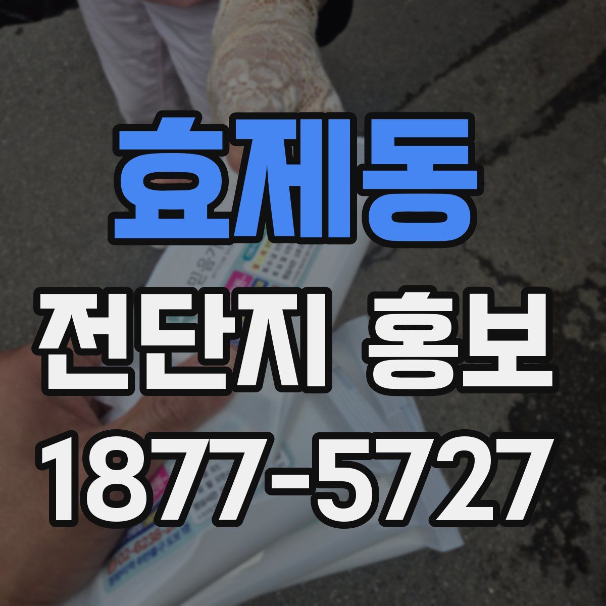 효제동 전단지 홍보