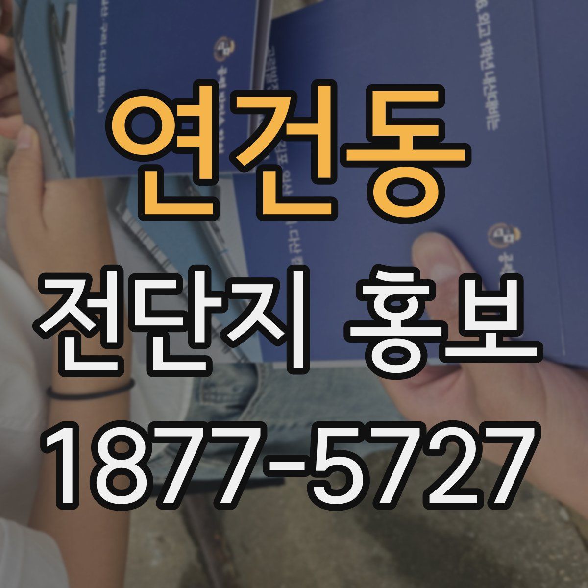연건동 전단지 홍보