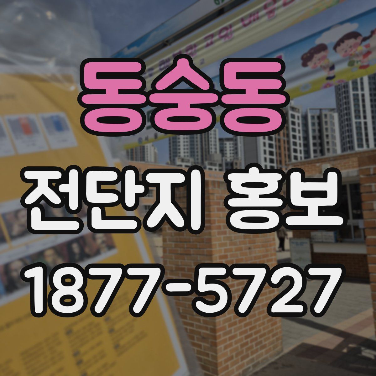 동숭동 전단지 홍보