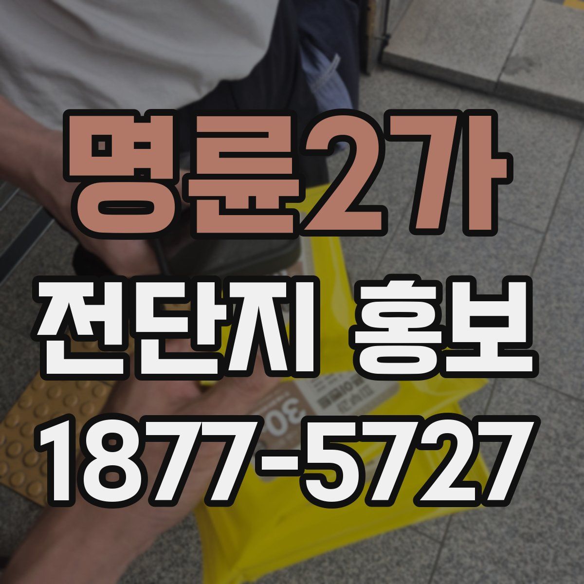 명륜2가 전단지 홍보