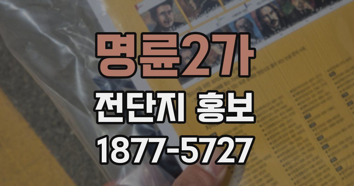 명륜2가 전단지 홍보