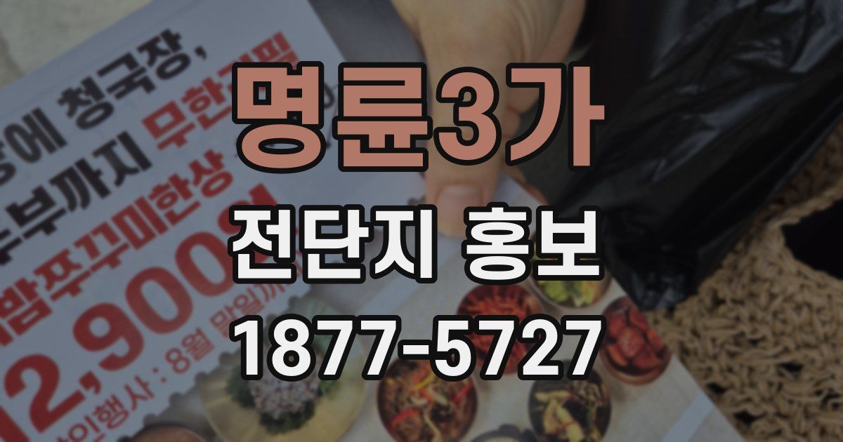 명륜3가 전단지 홍보