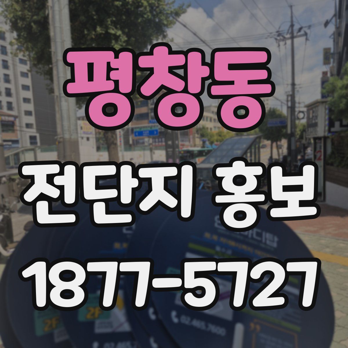 평창동 전단지 홍보