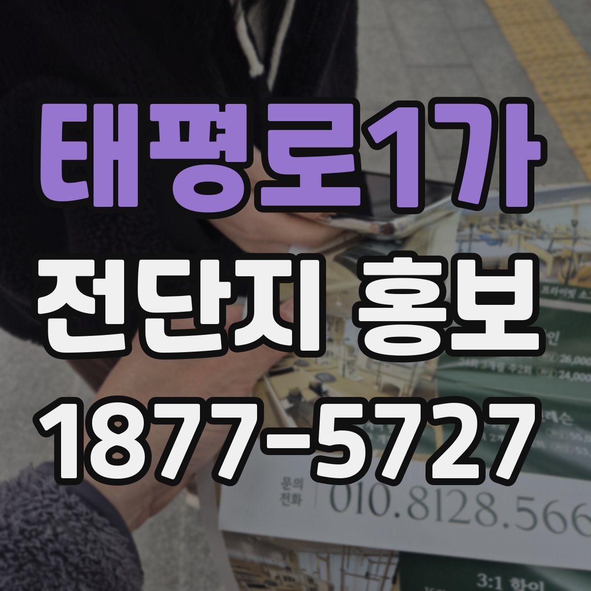 태평로1가 전단지 홍보