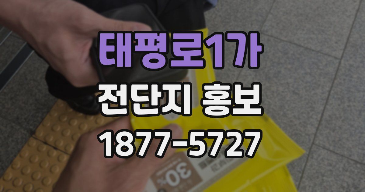 태평로1가 전단지 홍보