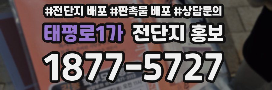 태평로1가 전단지 홍보