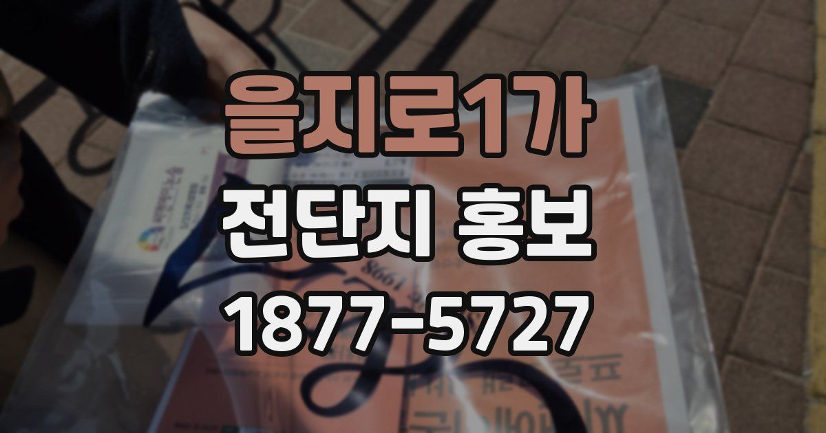 을지로1가 전단지 홍보