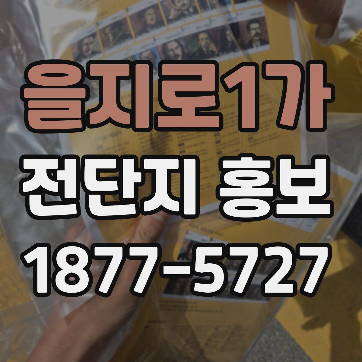 을지로1가 전단지 홍보