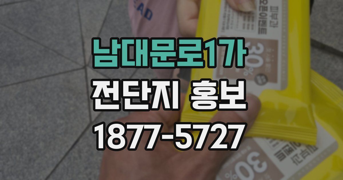 남대문로1가 전단지 홍보