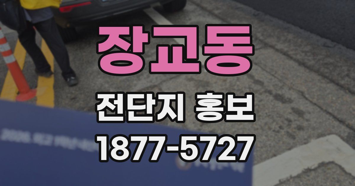 장교동 전단지 홍보