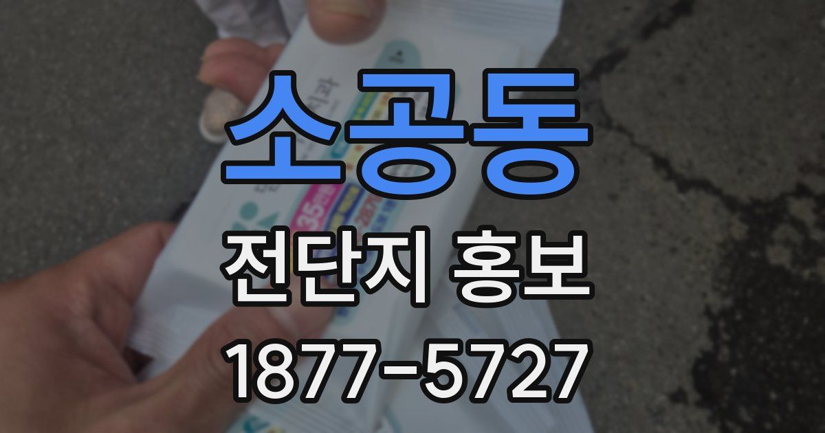 소공동 전단지 홍보