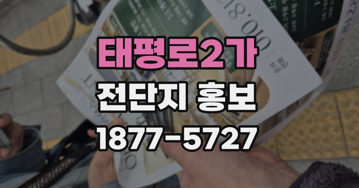 태평로2가 전단지 홍보
