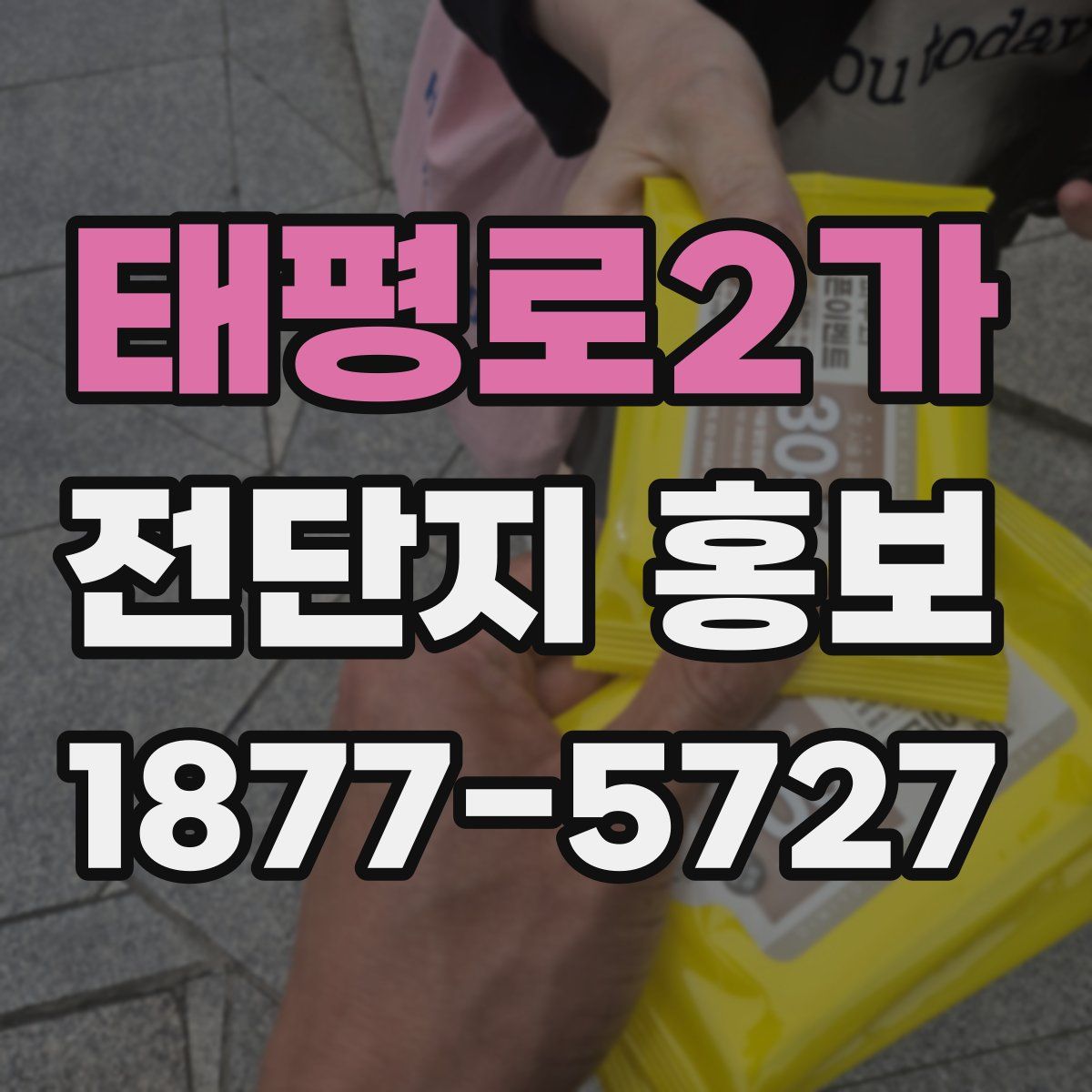 태평로2가 전단지 홍보