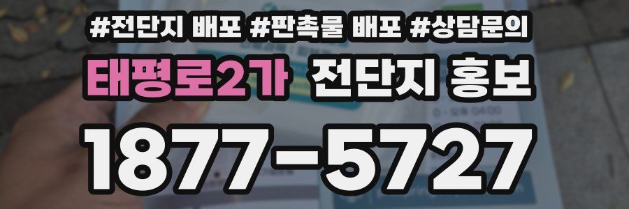 태평로2가 전단지 홍보
