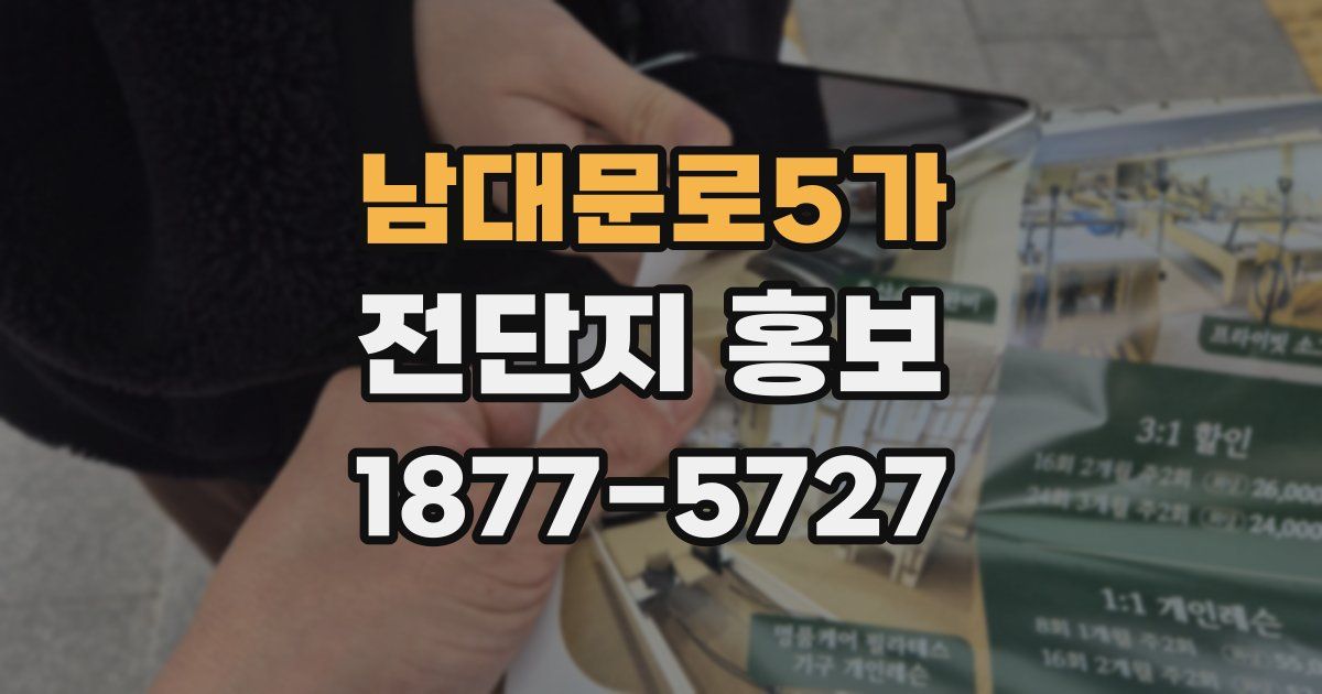 남대문로5가 전단지 홍보