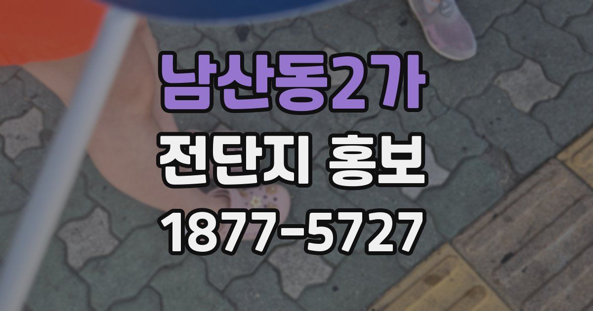 남산동2가 전단지 홍보