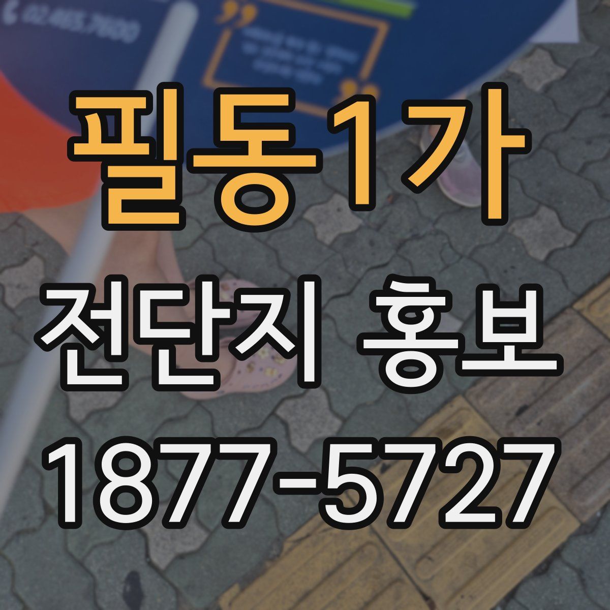 필동1가 전단지 홍보
