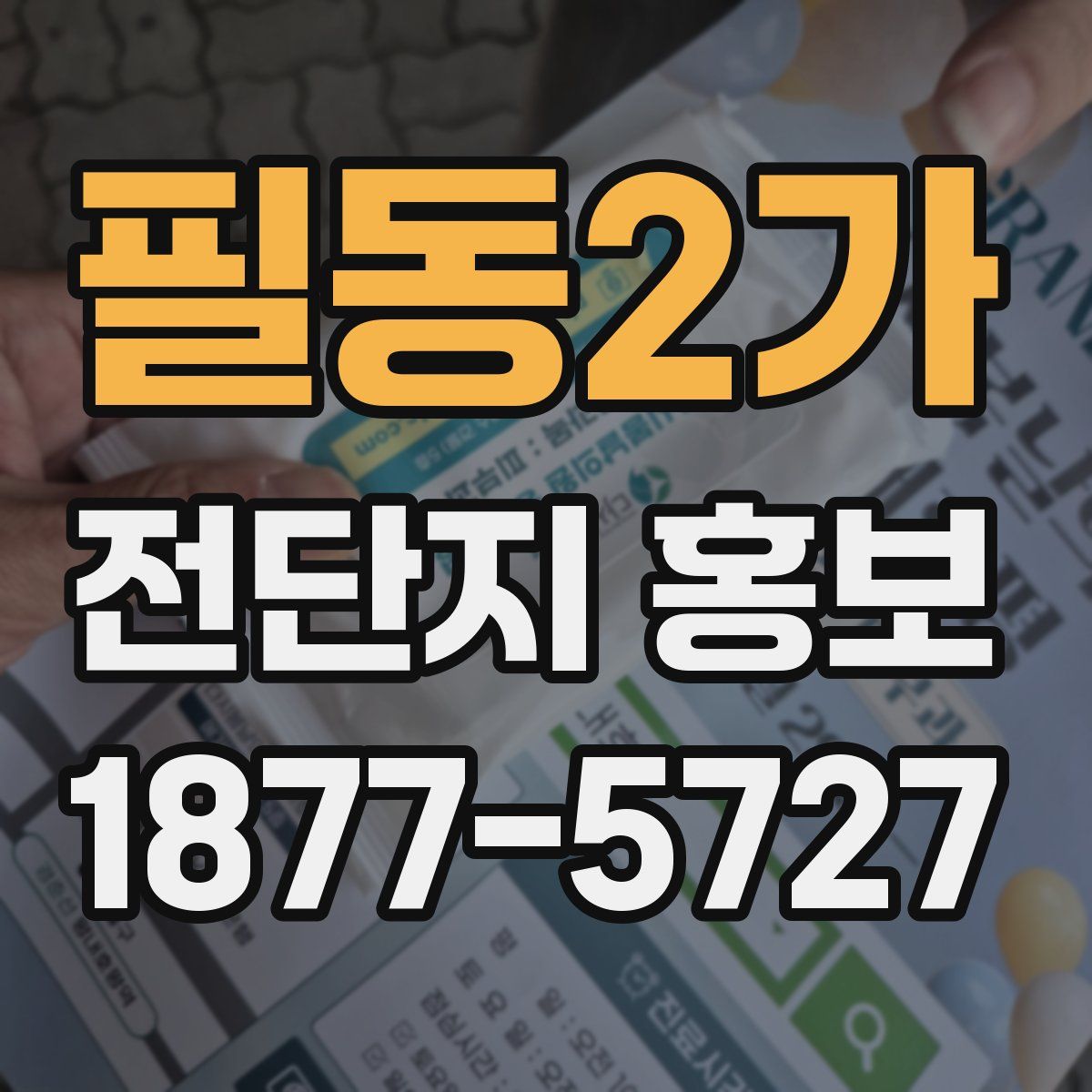 필동2가 전단지 홍보