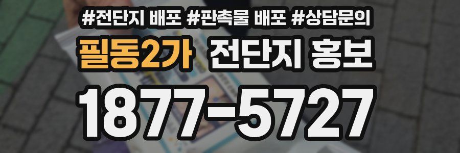 필동2가 전단지 홍보