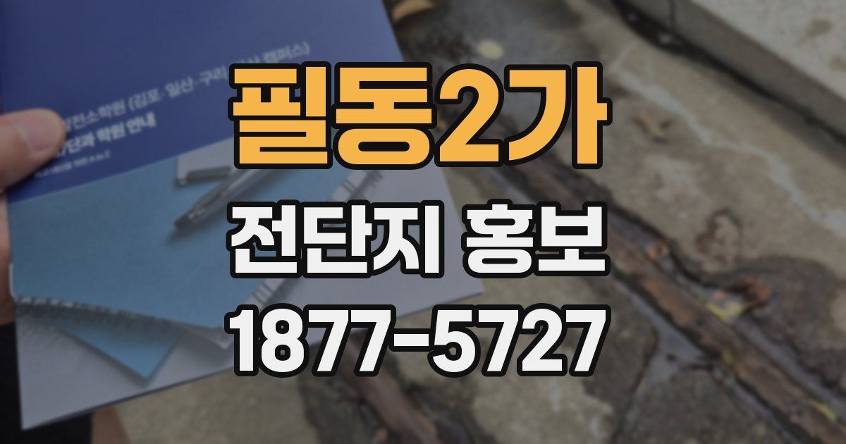 필동2가 전단지 홍보
