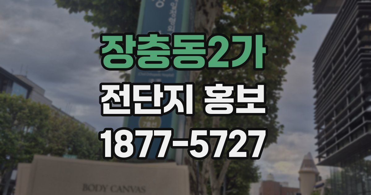 장충동2가 전단지 홍보