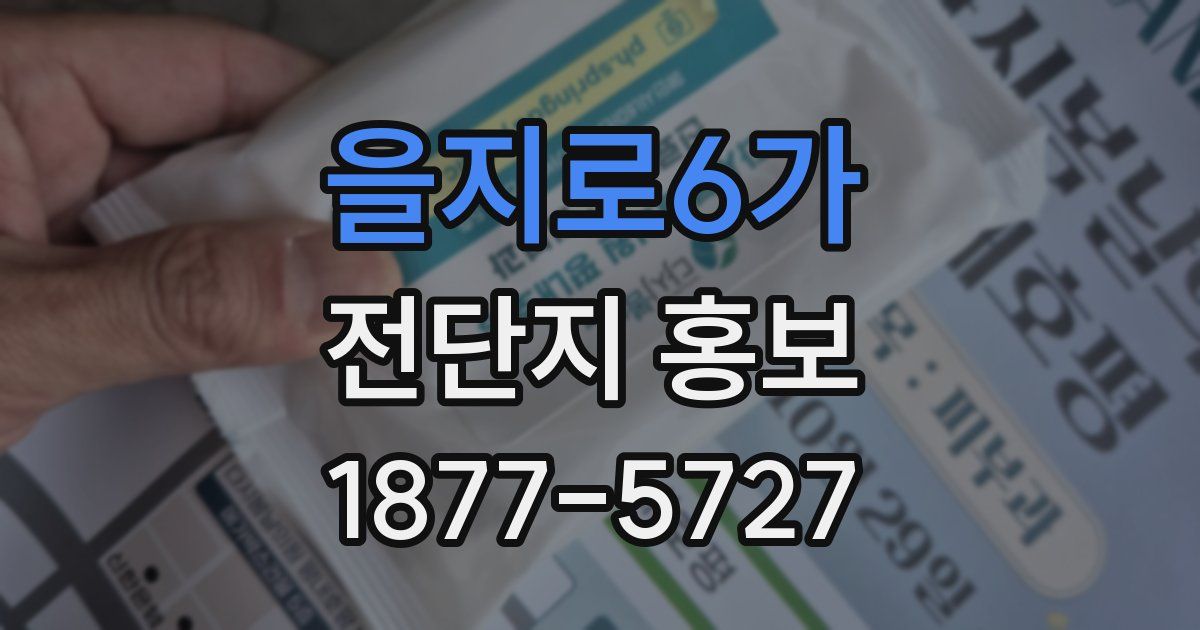 을지로6가 전단지 홍보