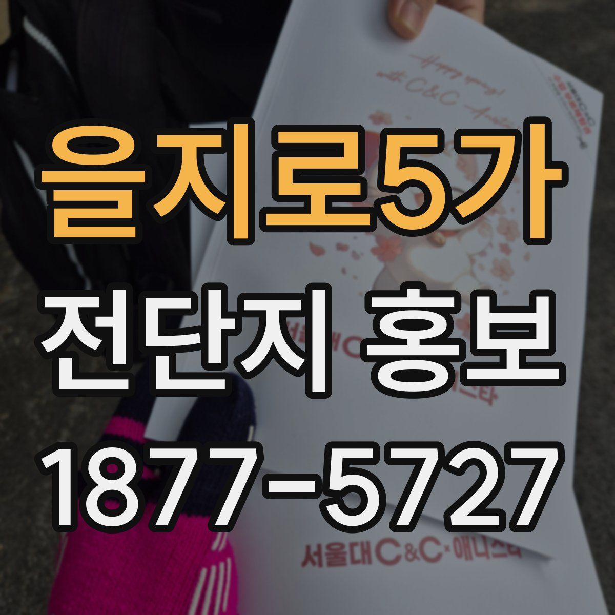 을지로5가 전단지 홍보