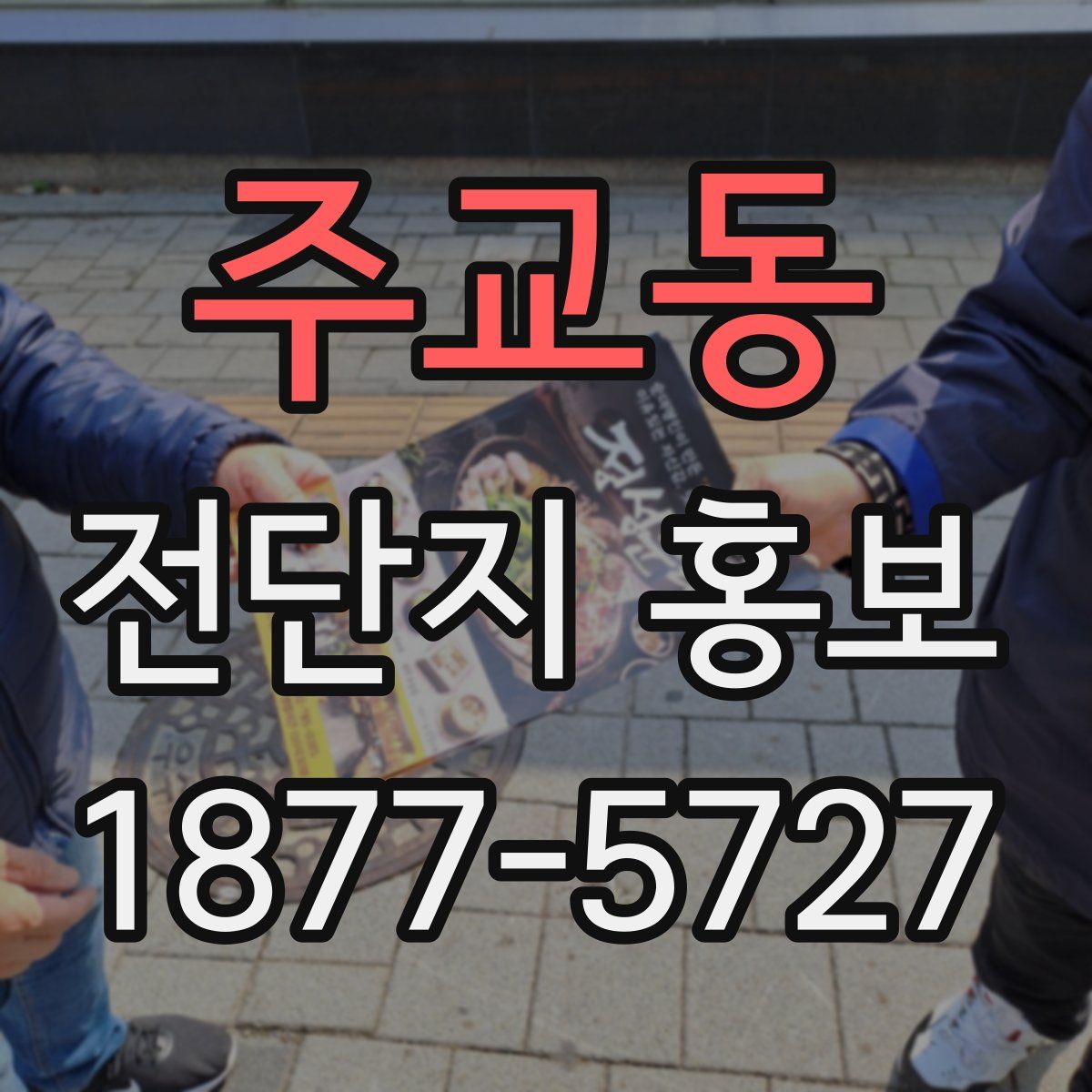 주교동 전단지 홍보