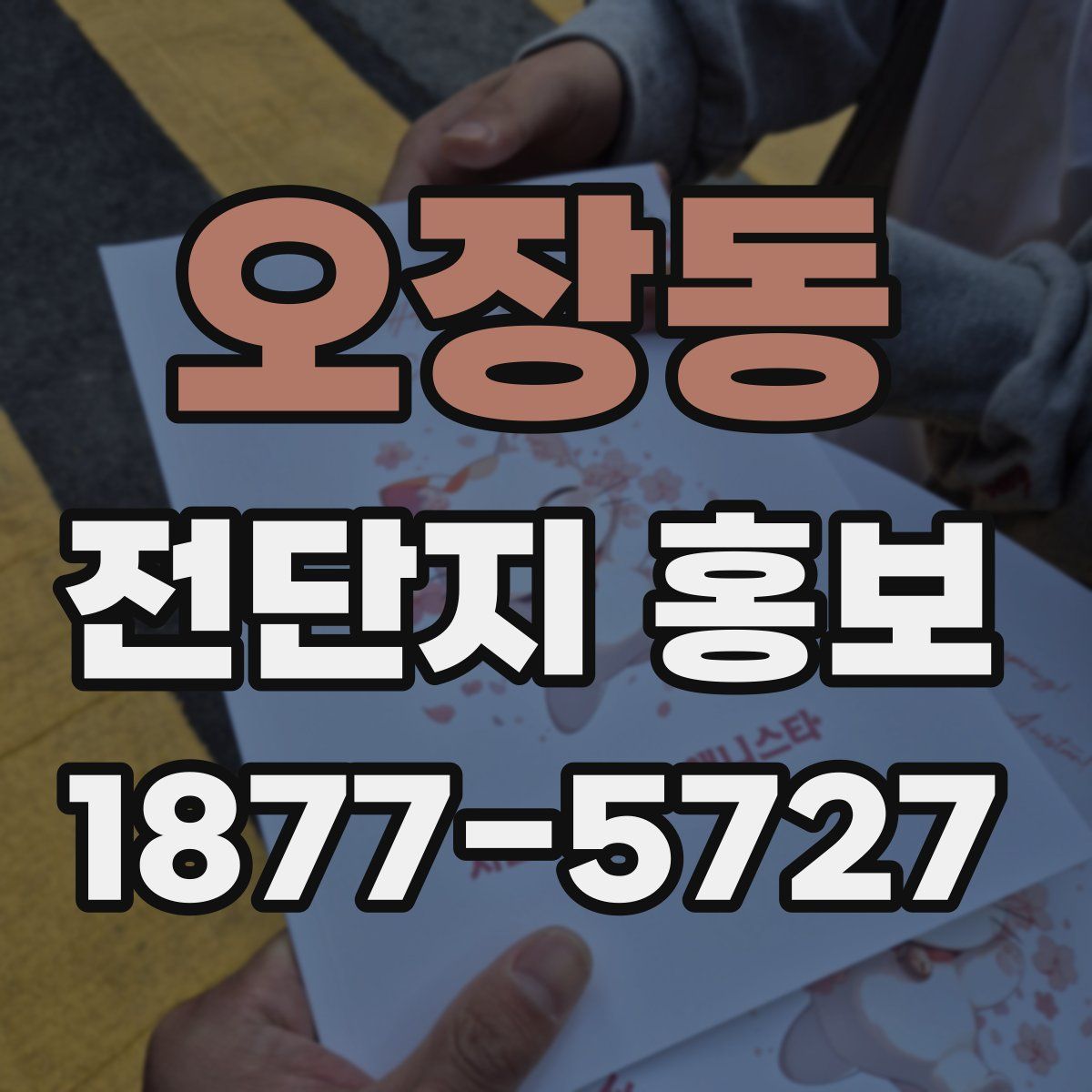 오장동 전단지 홍보