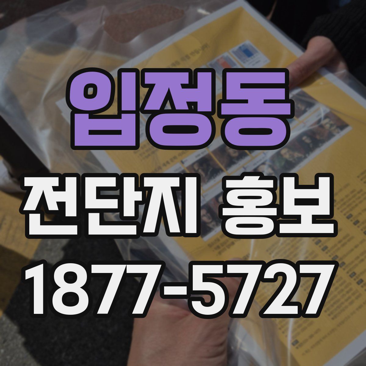 입정동 전단지 홍보