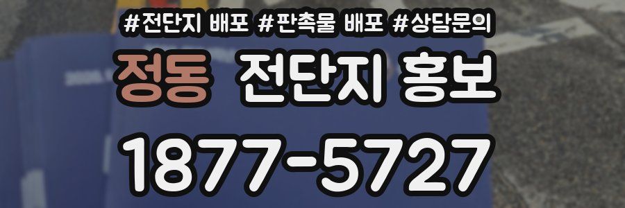 정동 전단지 홍보