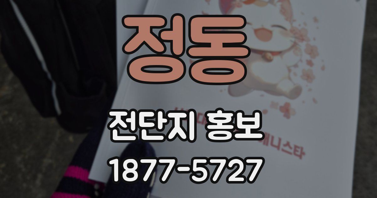 정동 전단지 홍보