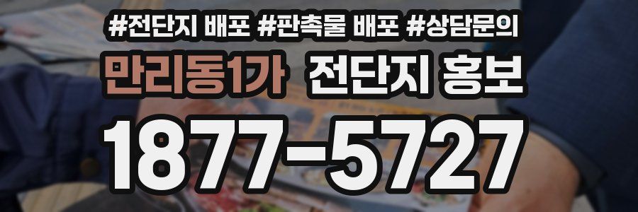 만리동1가 전단지 홍보