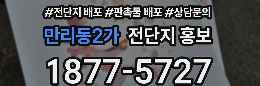 만리동2가 전단지 홍보