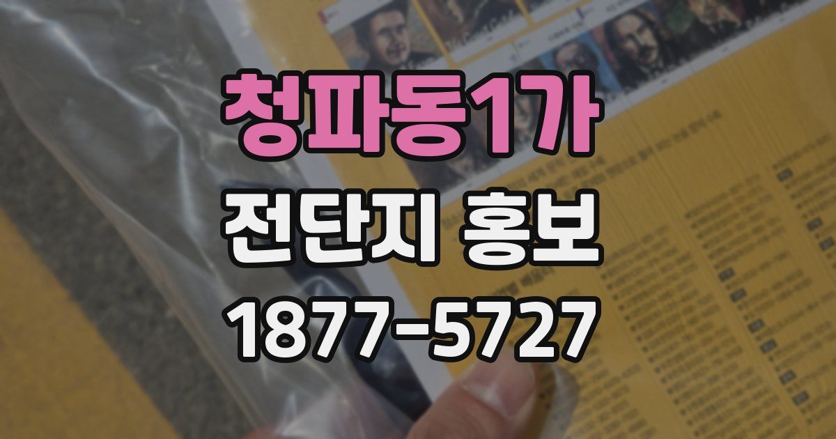 청파동1가 전단지 홍보