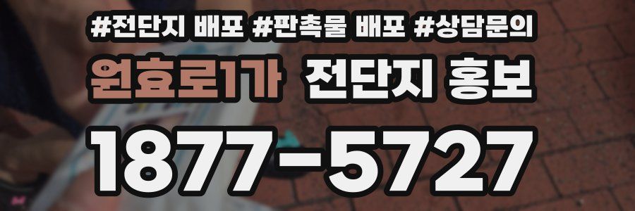 원효로1가 전단지 홍보