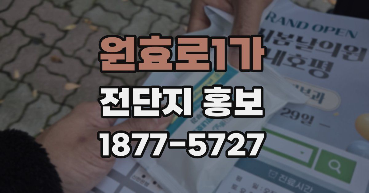 원효로1가 전단지 홍보