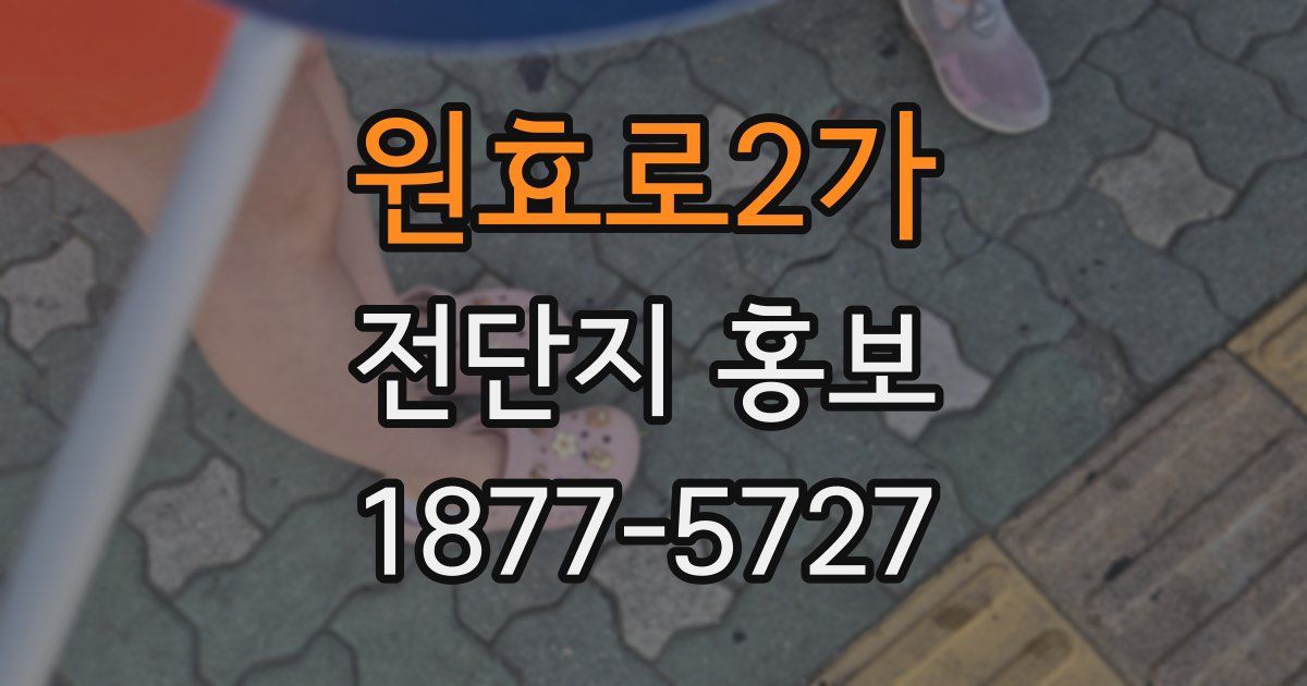 원효로2가 전단지 홍보