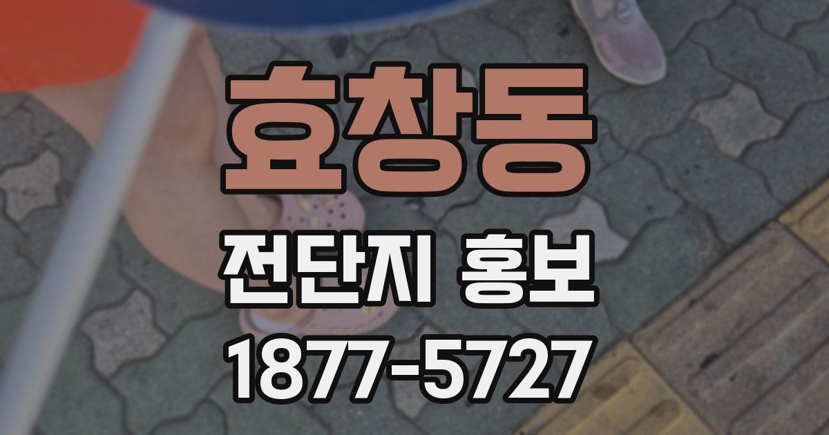 효창동 전단지 홍보