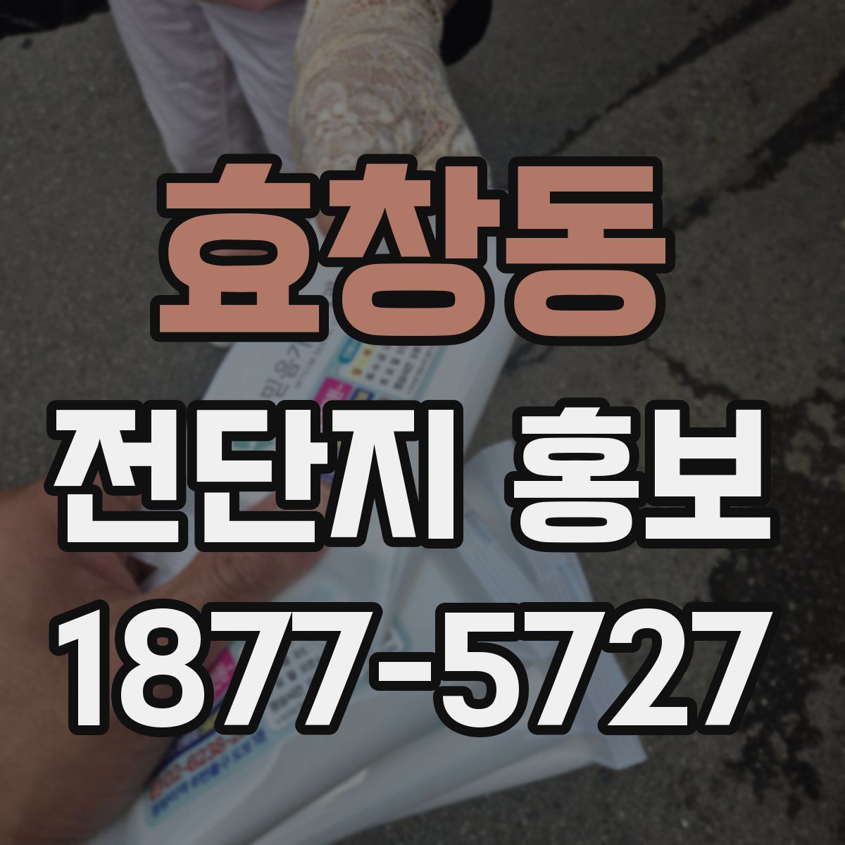 효창동 전단지 홍보