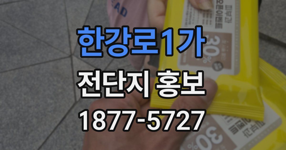 한강로1가 전단지 홍보