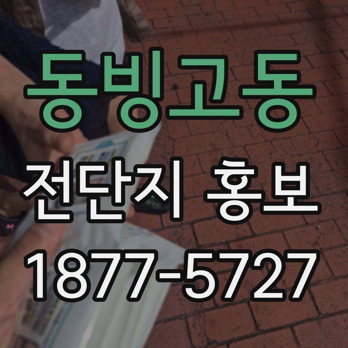 동빙고동 전단지 홍보